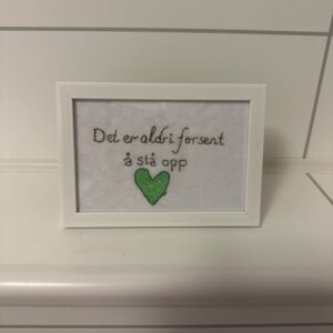 Stå opp geriljabroderi