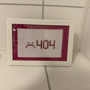 404 geriljabroderi