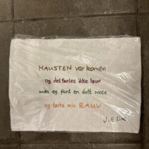 Haust dikt geriljabroderi
