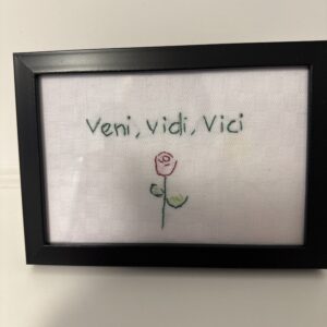 Veni ,vidi , vici geriljabroderi