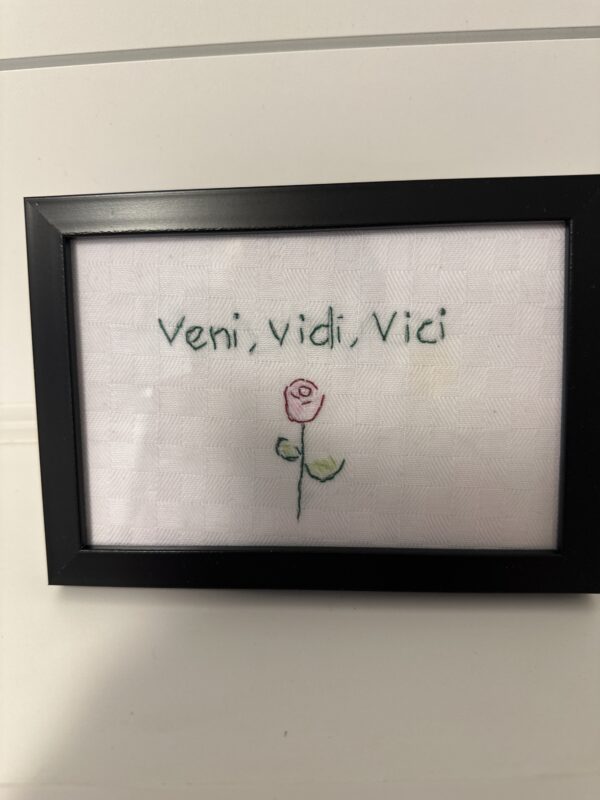 Veni ,vidi , vici geriljabroderi