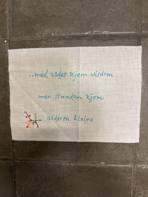 Alder og visdom geriljabroderi - Bilde 2