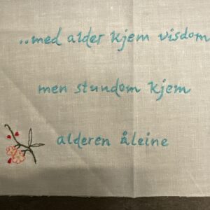 Alder og visdom geriljabroderi