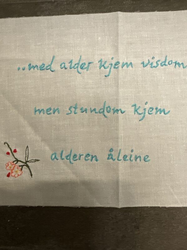 Alder og visdom geriljabroderi