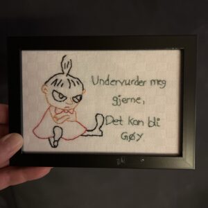 Lille My geriljabroderi