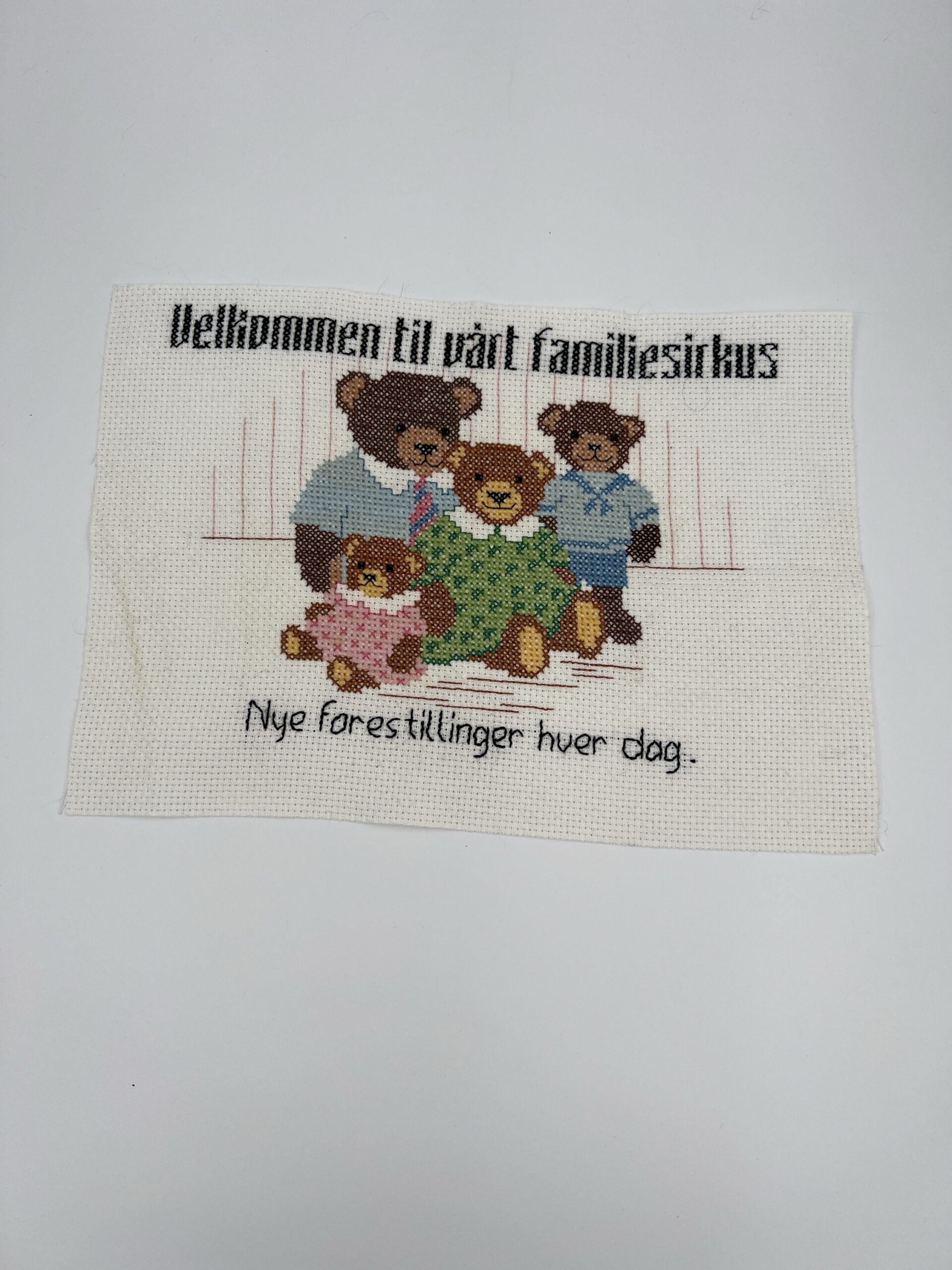 Familie sirkuset 🤡 geriljabroderi