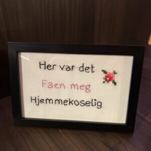 Hjemmekoselig geriljabroderi