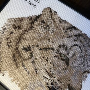 We’re all mad here geriljabroderi