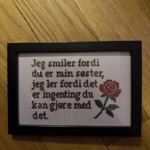 Print av geriljabroderi søster