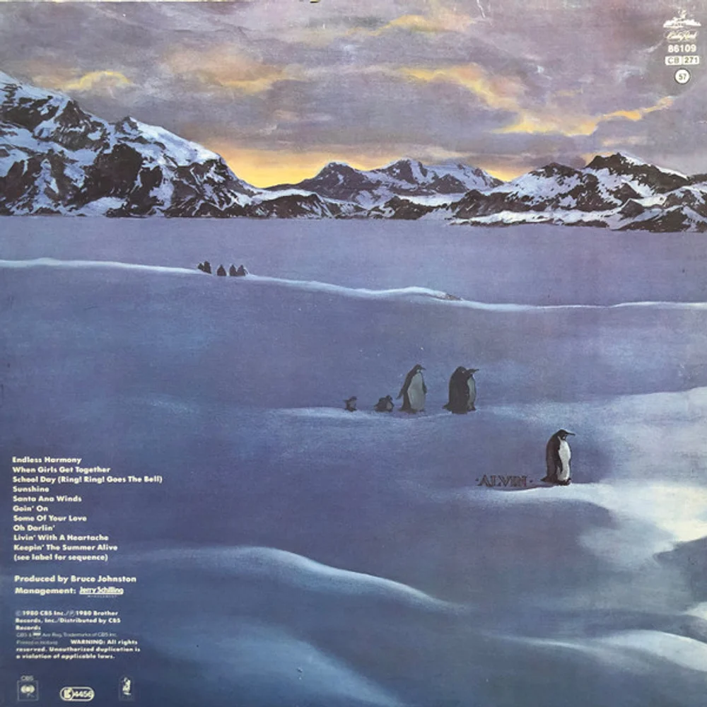 The Beach Boys - Keepin' The Summer Alive (CRB 86109)