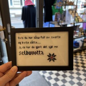 Selbuvotter geriljabroderi